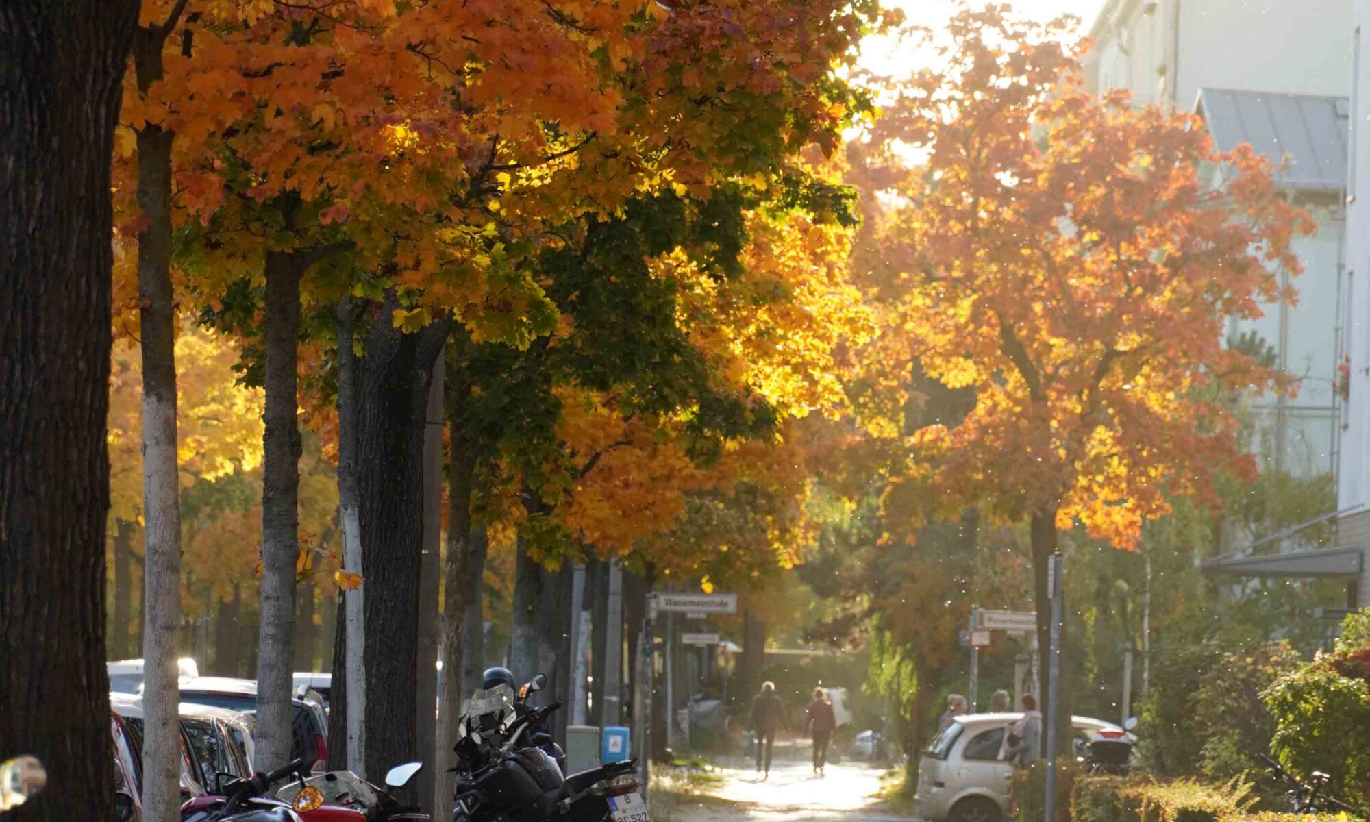 Autumn colors