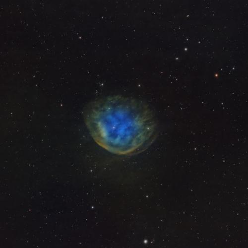 Abell-31