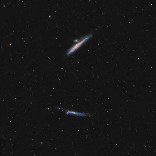 Caldwell-32