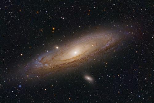M31