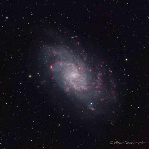 M33