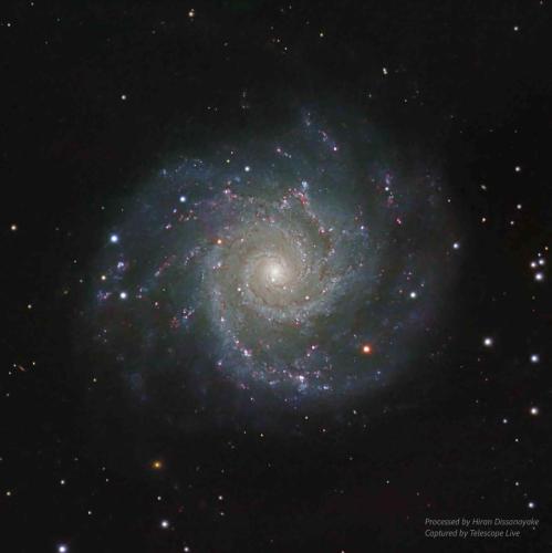 M74