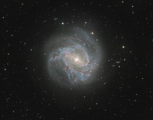 M83