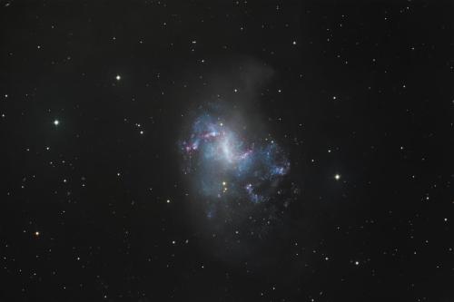 NGC1313