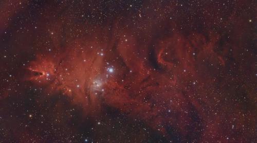 NGC2264