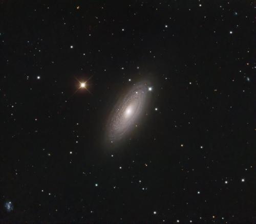NGC2481