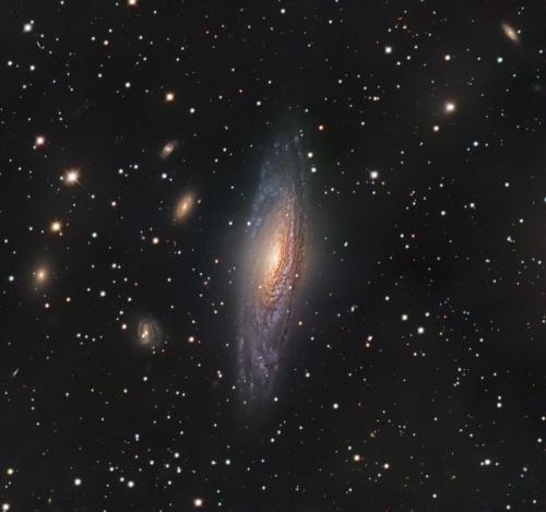 NGC7331