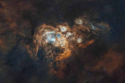 RCW131 in SHO